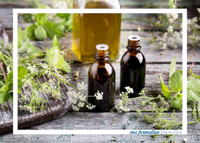 Formation naturopathe