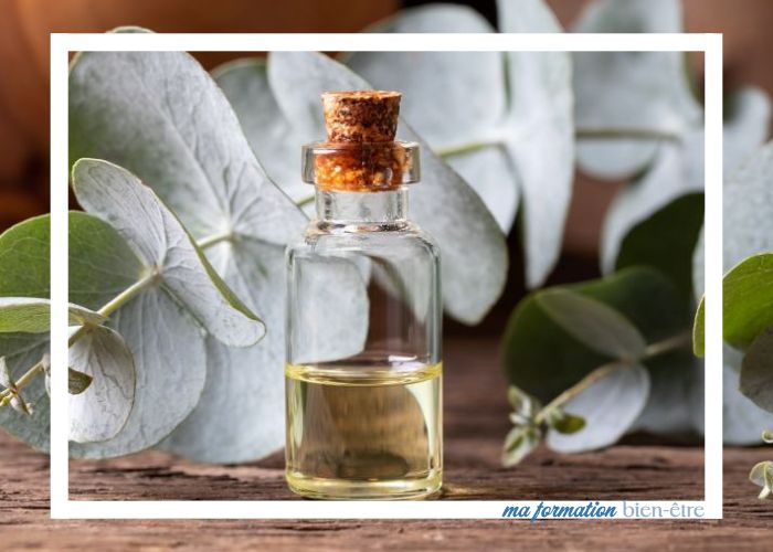 Devenir naturopathe sans formation