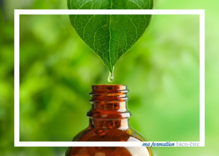 La durée d'une formation en naturopathie