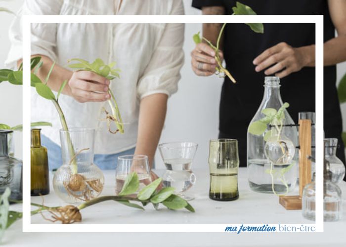 Financer ma formation de naturopathie